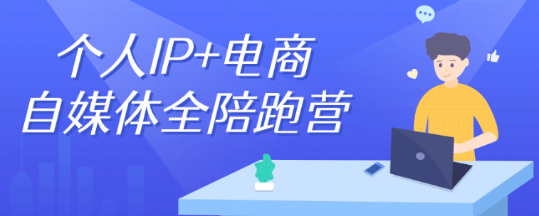 个人IP+电商自媒体全陪跑营-1.png